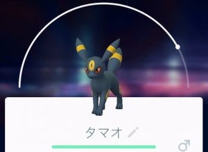 ブラッキー